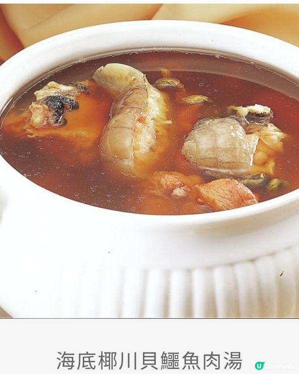 秋冬湯水食譜 (1)｜海底椰川貝鱷魚肉湯