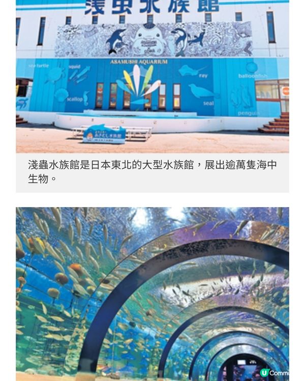 日本青森睡魔祭 歎海鮮享受古老 淺蟲溫泉鄉