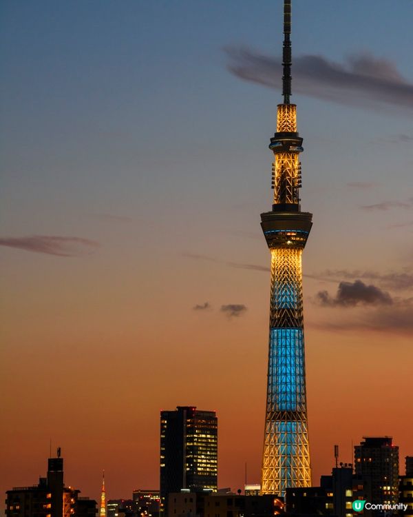 晴空塔夜景 