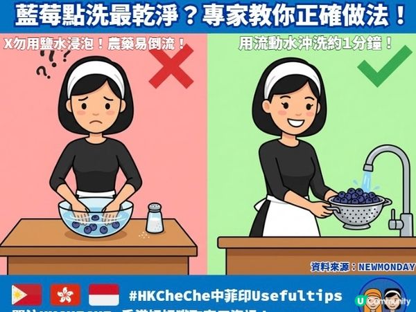藍莓點洗最乾淨嗰啲？