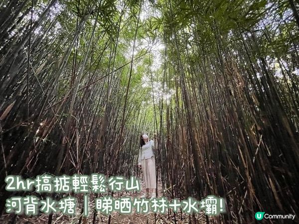 輕鬆行山! 河背水塘｜睇晒竹林+水壩!