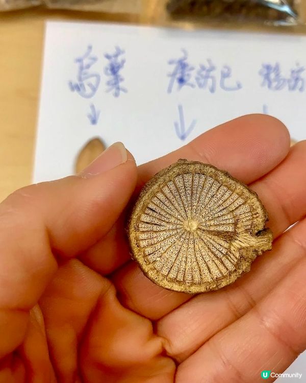 中藥🌿《廣防己》