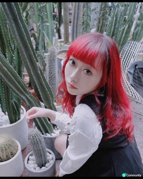 大埔植物園Botanic Union