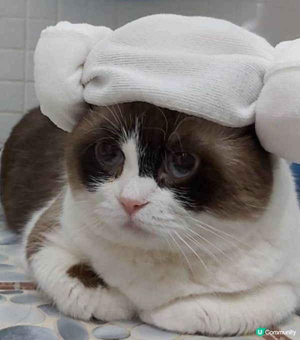 汗蒸幕~我幾時可以安心再去韓國嘆多次呀？😥