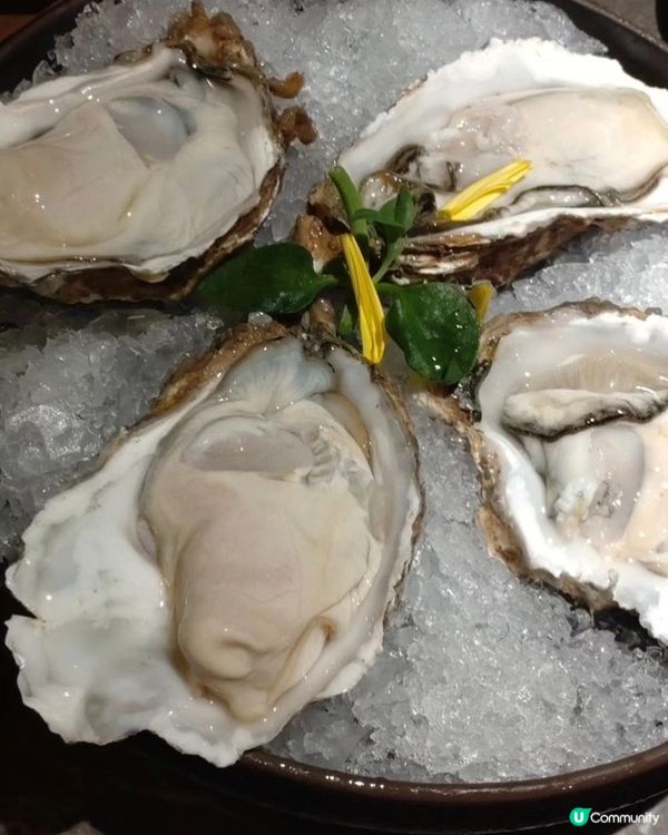 
🌟脆鮮生脆鯇魚火鍋🌟