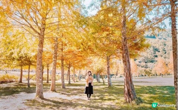 2023台中景點推薦》30個必訪勝地，週末就來去台中一日遊！