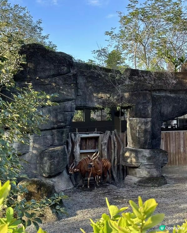 世界前十名大都市型嘅動物園