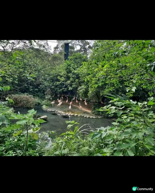 世界前十名大都市型嘅動物園