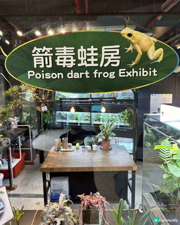 世界前十名大都市型嘅動物園