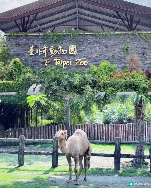 世界前十名大都市型嘅動物園