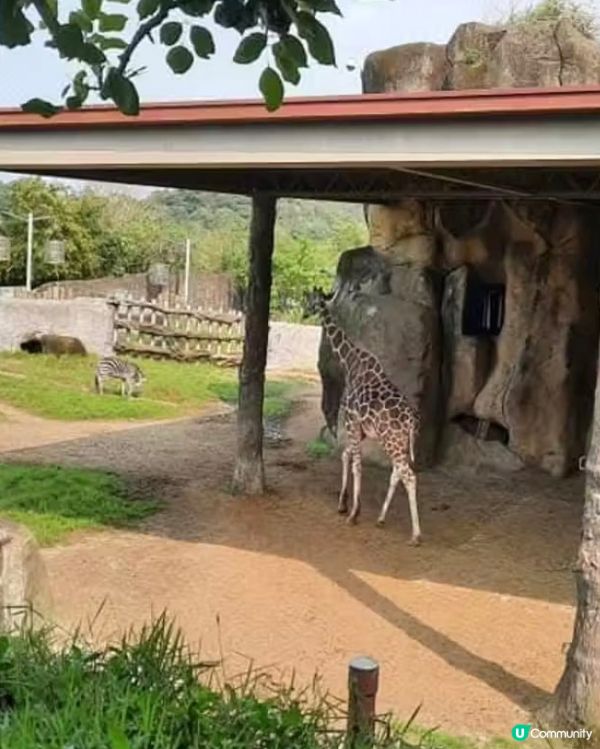 世界前十名大都市型嘅動物園