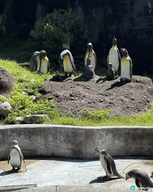 世界前十名大都市型嘅動物園