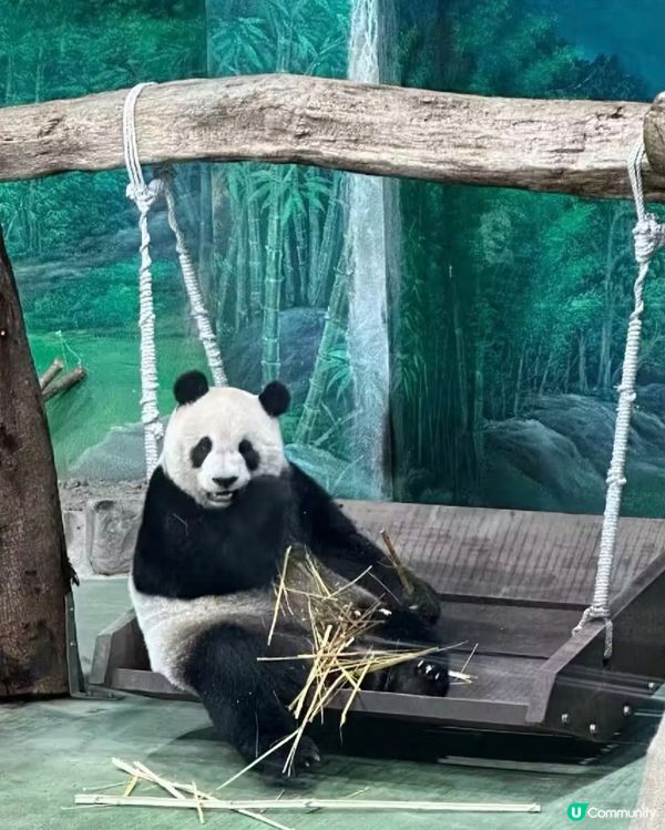 世界前十名大都市型嘅動物園