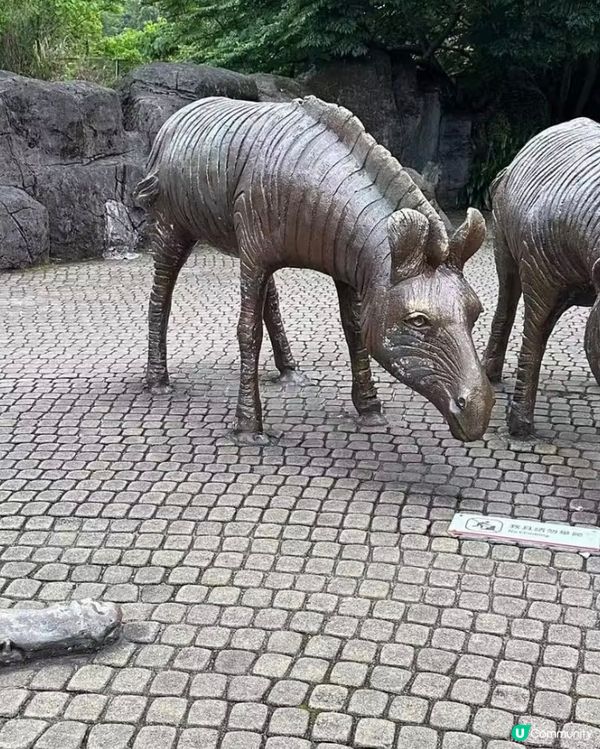 世界前十名大都市型嘅動物園