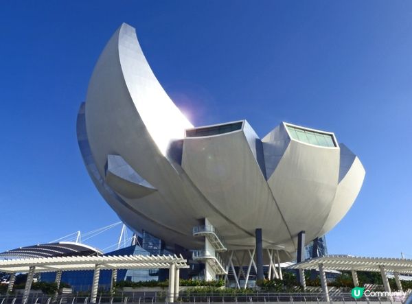 #淨白透亮520 #韓式髮型神器