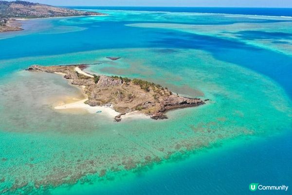 褐藻糖膠邊隻好?五大關鍵要素助你挑選高品質產品!