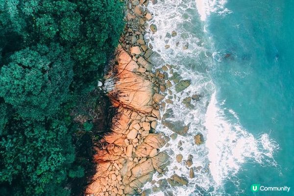 沖繩海蘊對健康有哪些好處?隱匿於蔚藍深海的「健康奇蹟」