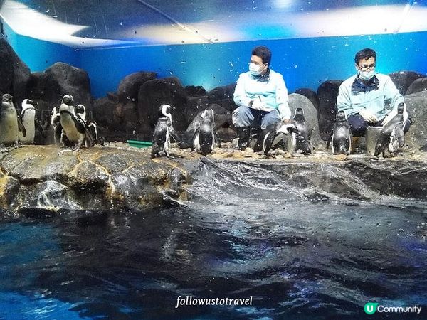 Top 5 蘭卡威景點 最好玩的馬來西亞海島