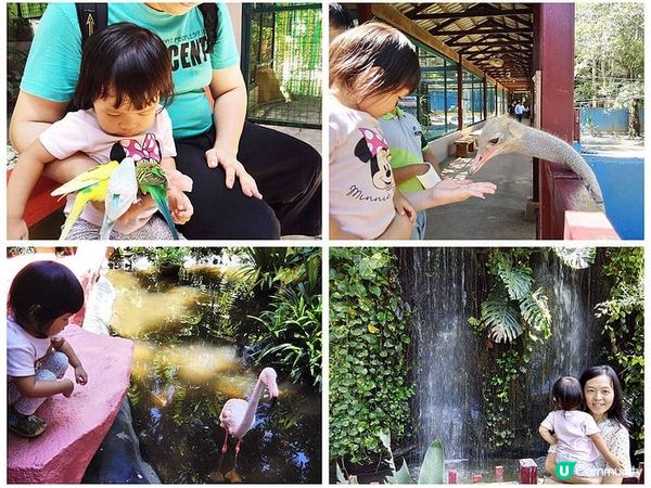 Top 5 蘭卡威景點 最好玩的馬來西亞海島