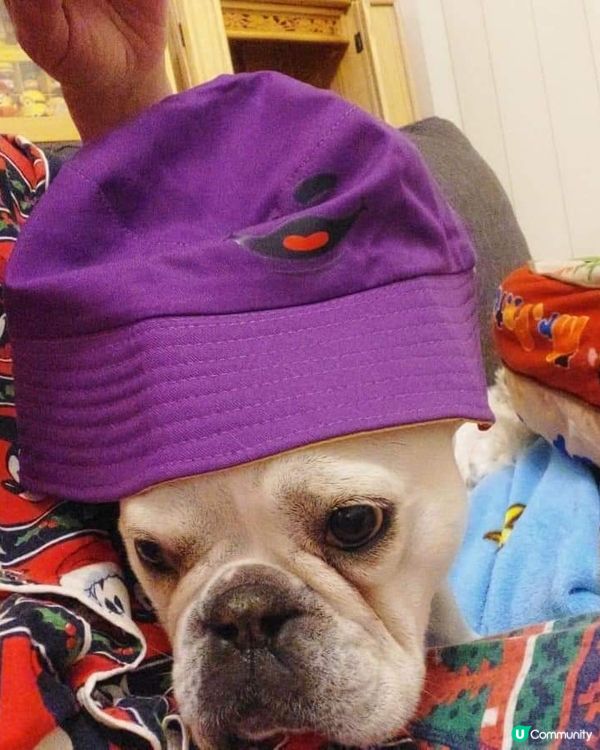 西澳開心樂園餐の 💜💜 滑doo doo 當主角啦‼️ 