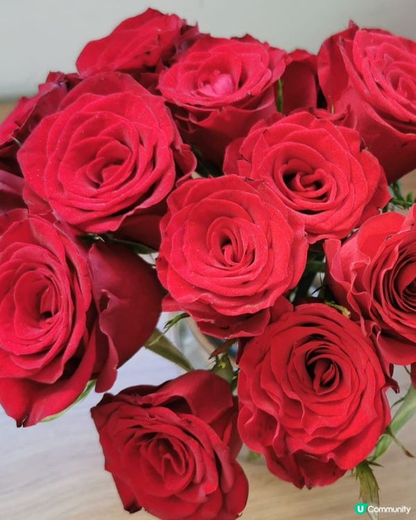 Red roses 🌹 what else