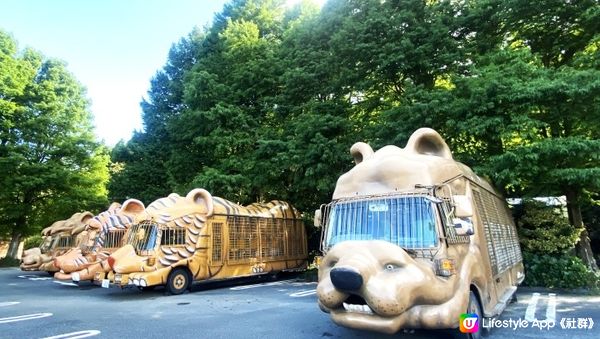 親子好去處｜九州福岡旅行｜九州動物園 近距離餵野生動物初體驗