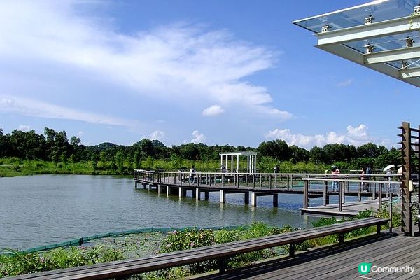 香港濕地公園最適合親子活動, 可以觀賞大自然景色和生態, 小...