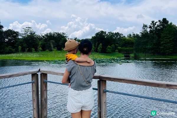 香港濕地公園最適合親子活動, 可以觀賞大自然景色和生態, 小...