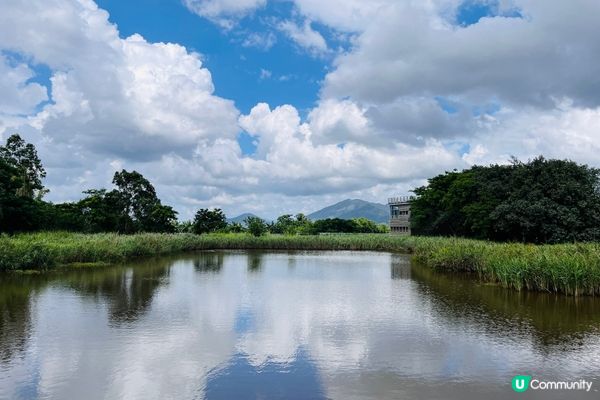 香港濕地公園最適合親子活動, 可以觀賞大自然景色和生態, 小...
