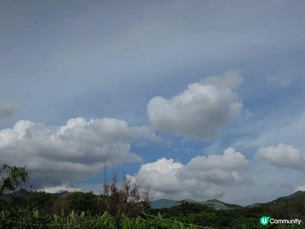 夏日打卡靚相靚片