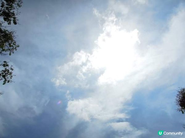 夏日打卡靚相靚片