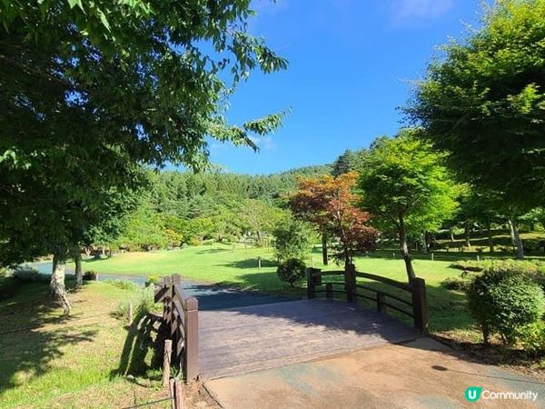 被繁花圍繞的山中湖–花之都公園