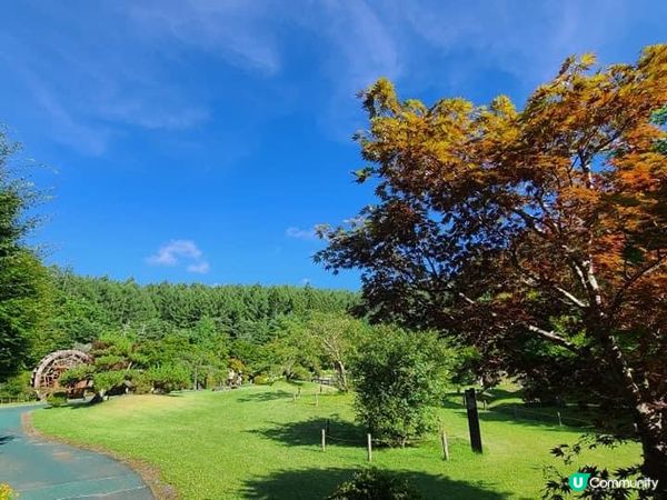 被繁花圍繞的山中湖–花之都公園