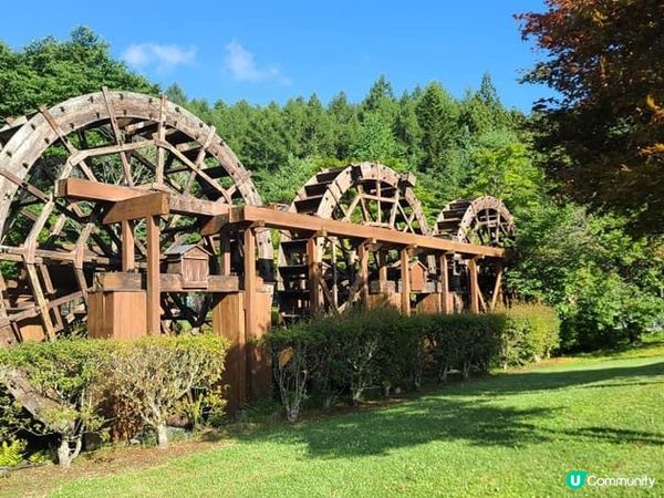 被繁花圍繞的山中湖–花之都公園