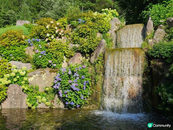 被繁花圍繞的山中湖–花之都公園