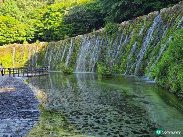 被繁花圍繞的山中湖–花之都公園
