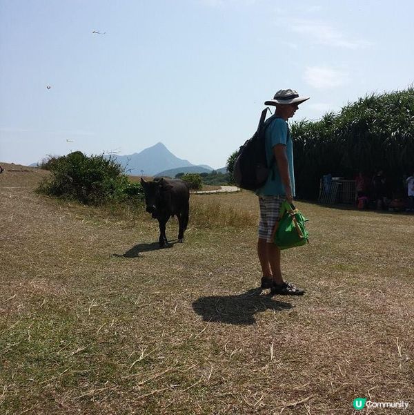 #chill賞遊世界#相機食先#港玩港食#中秋想您愈食愈圓2...