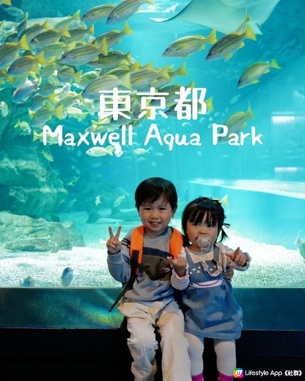 東京親子景點 | Maxwell Aqua Park 水族館 | 品川王子酒店 | 日本親子自駕遊