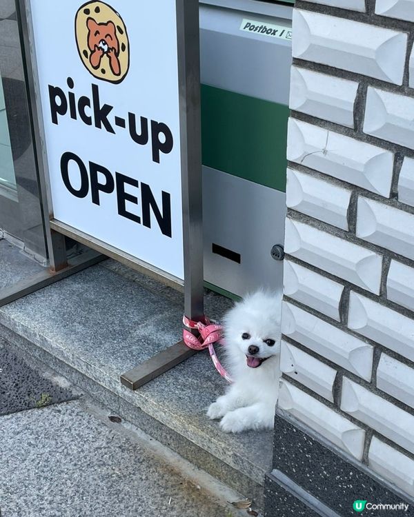 🇰🇷🌊濟州島超人氣鹽麵包！明太子鹽麵包真係好邪惡！🥖