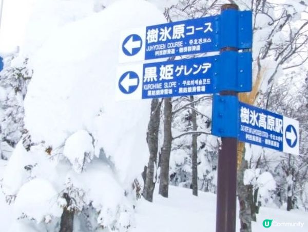 ❄️藏王樹冰！雪怪現身！❄️