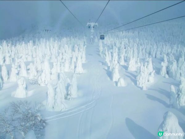❄️藏王樹冰！雪怪現身！❄️