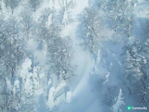 ❄️藏王樹冰！雪怪現身！❄️