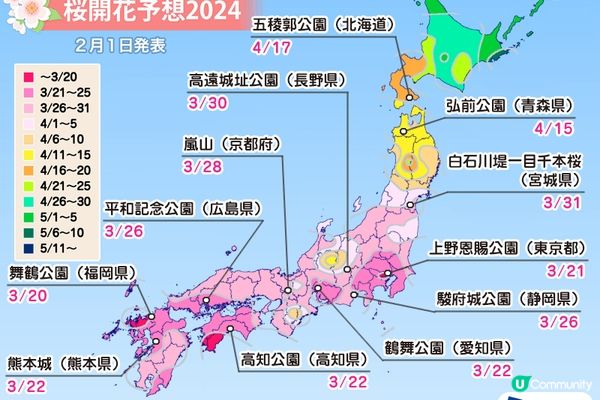 跟著日本櫻花前線賞櫻去吧!!2024日本最新櫻花開花、滿開時間預報