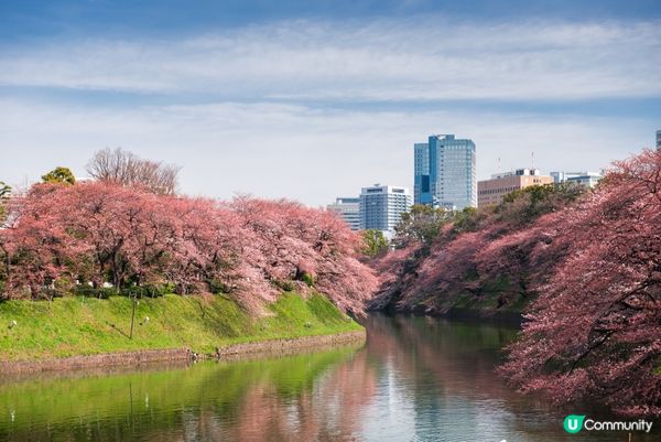 #Chill嘆酒店旅人祭  #別要再蝨眠