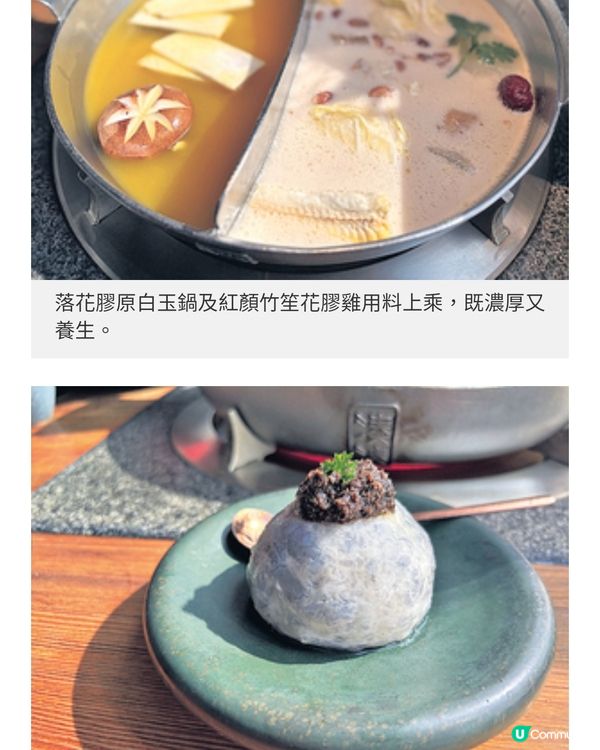 湊湊火鍋金蛇獻福重塑傳統佛跳
牆