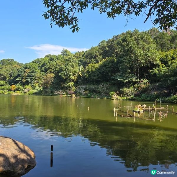 深圳仙湖植物園