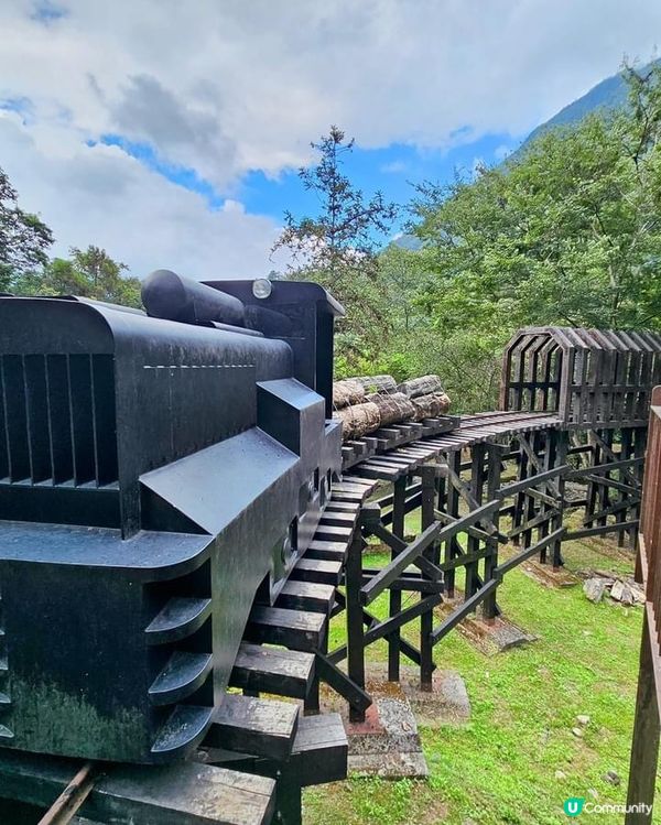 ## 十文溪水潺潺，森林漫步好舒服🌿🚶‍♀️