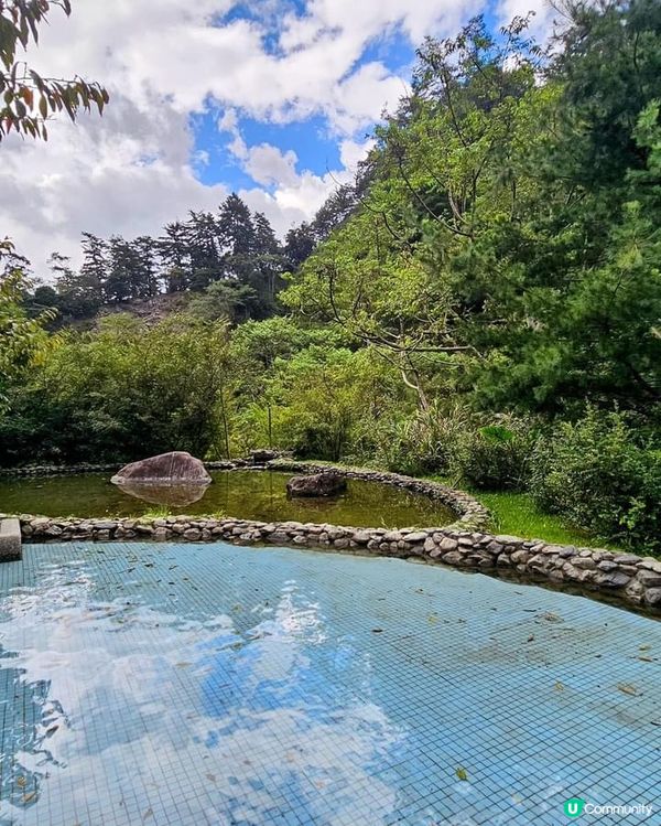 ## 十文溪水潺潺，森林漫步好舒服🌿🚶‍♀️