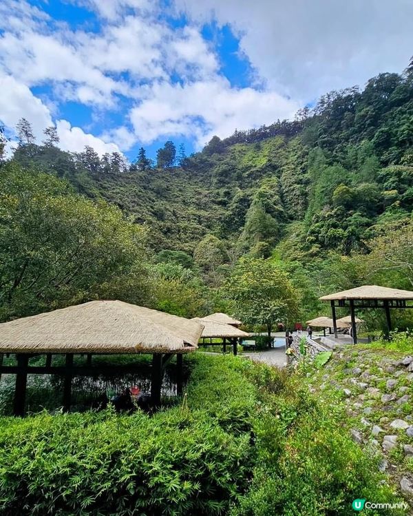 ## 十文溪水潺潺，森林漫步好舒服🌿🚶‍♀️