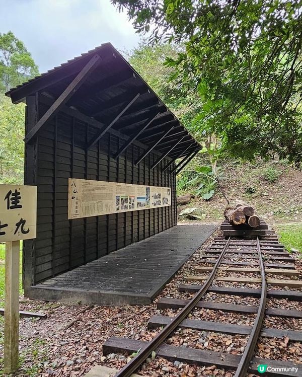 ## 十文溪水潺潺，森林漫步好舒服🌿🚶‍♀️